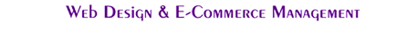 Web Design and E-Commerce Services